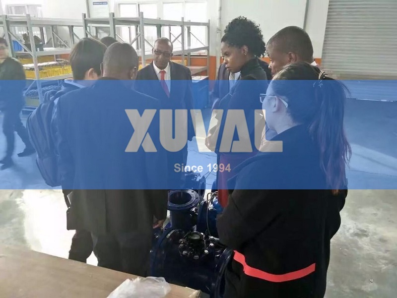 肯尼亚老客户到访